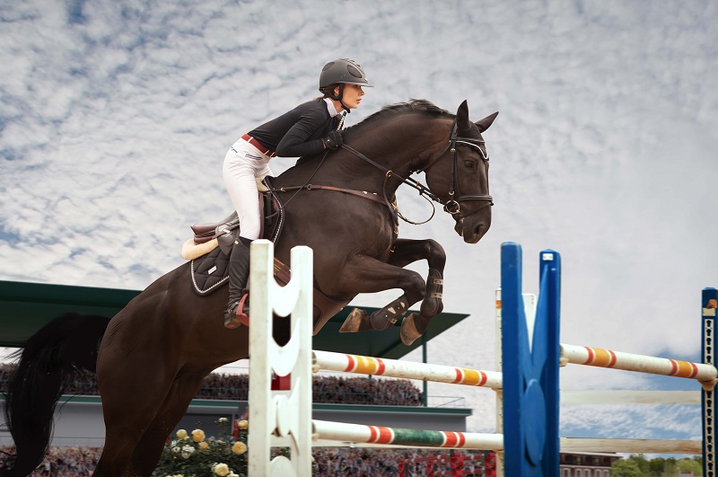 How to Manage Your Horse’s Energy During Jumping Training